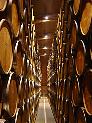 Ridge zinfandel wine barrels
